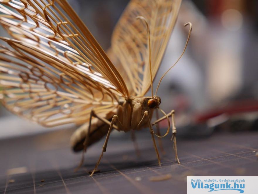 14 90 Elképesztő, élet nagyságú bambusz rovarokat készít egy Japán férfi.