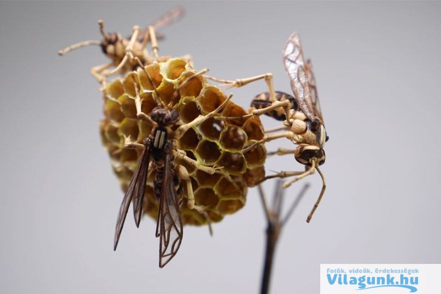 16 63 Elképesztő, élet nagyságú bambusz rovarokat készít egy Japán férfi.