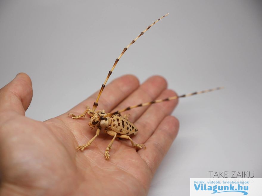 23 12 Elképesztő, élet nagyságú bambusz rovarokat készít egy Japán férfi.