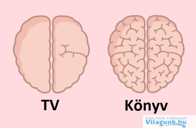 8 88 7 Csodálatos tény, hogy hogyan befolyásoljuk az agyunkat!