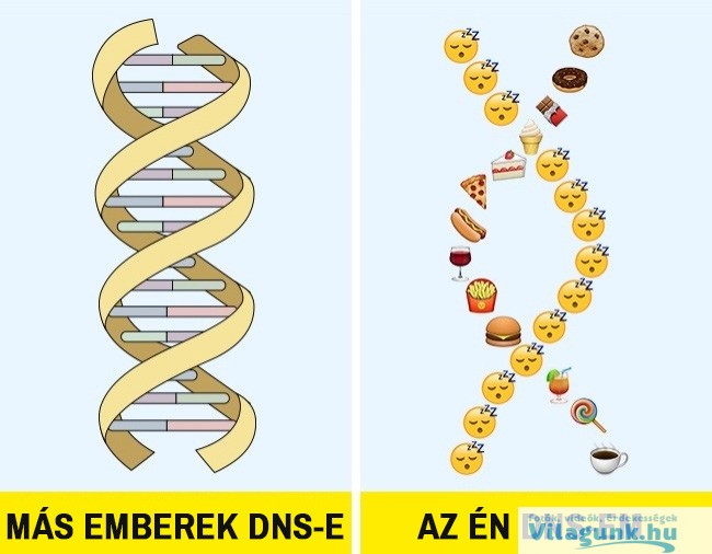 4 9 12 döbbenetes tény a DNS-ről, amit még te sem hallottál!