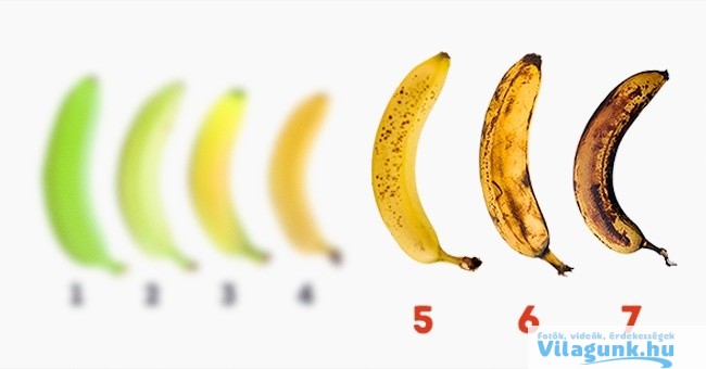 A Banan 10 Legfontosabb Tulajdonsaga Amirol Sokan Nem Tudnak