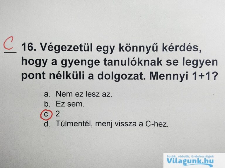 14 nagyszerű tanár, aki tudja hogyan vonja magára a diákok figyelmét