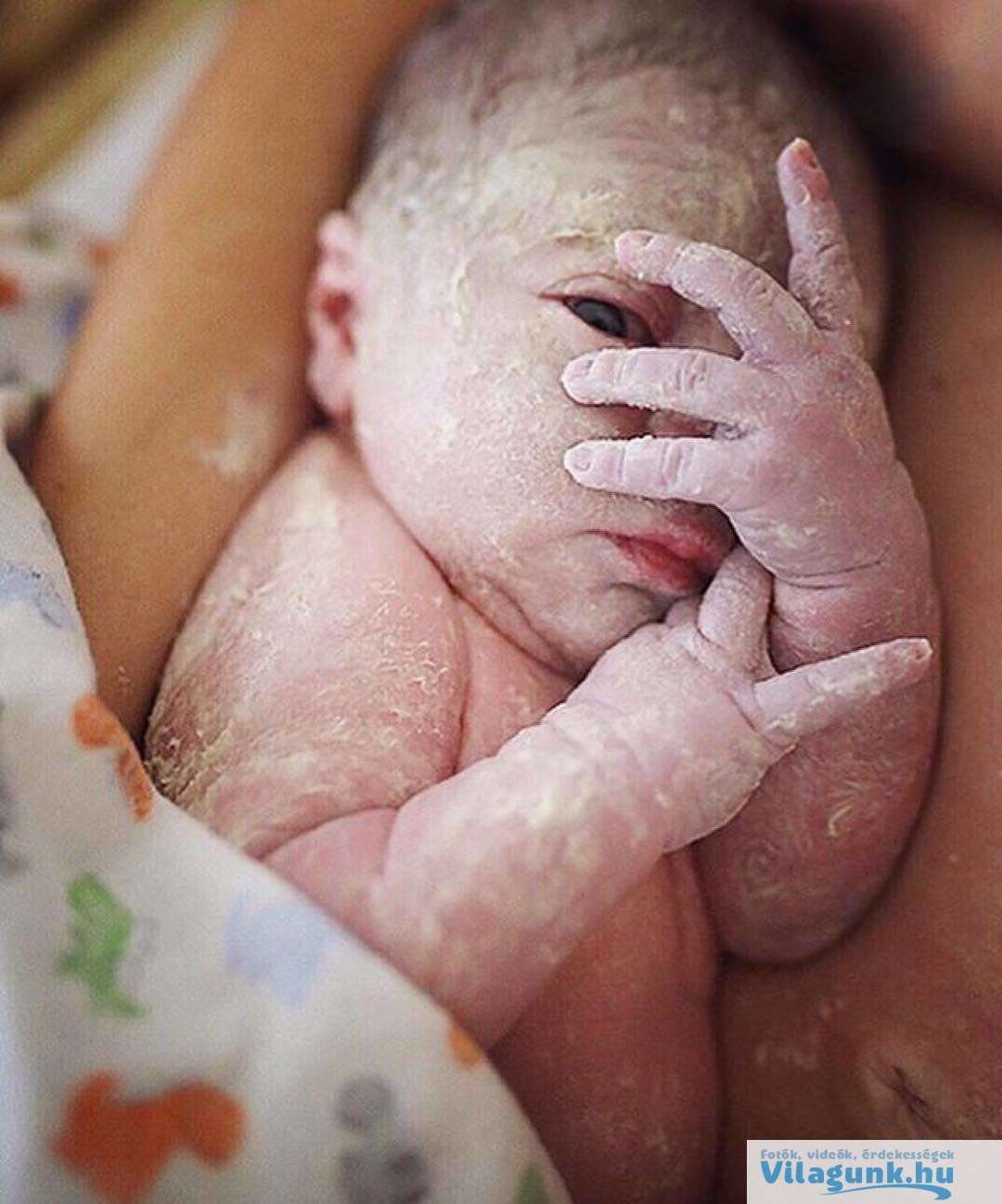 41 27 csodálatraméltó anya, aki megmutatta, hogyan néz ki valójában a teste egy szülés után