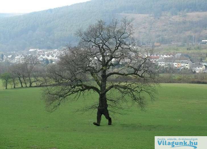 2 9 16 hihetetlen kép, amihez meg kell egy pillanatra állnod, hogy tudd, mi történik!