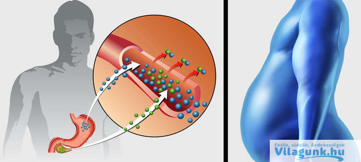 03 12 7 egészségügyi probléma, ami megakadályozza, hogy megszabadulj a túlsúlytól!