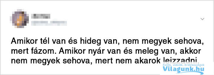 10 Ez a 15 kép bebizonyítja, hogy hasonlóbbak vagyunk mint gondolnánk!