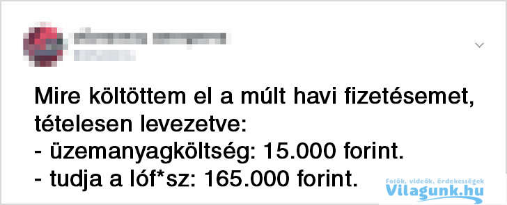 5 Ez a 15 kép bebizonyítja, hogy hasonlóbbak vagyunk mint gondolnánk!