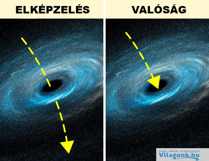 6 1 9 bizonyított tény, amit eddig rosszul tudtál, de nem a te hibád!