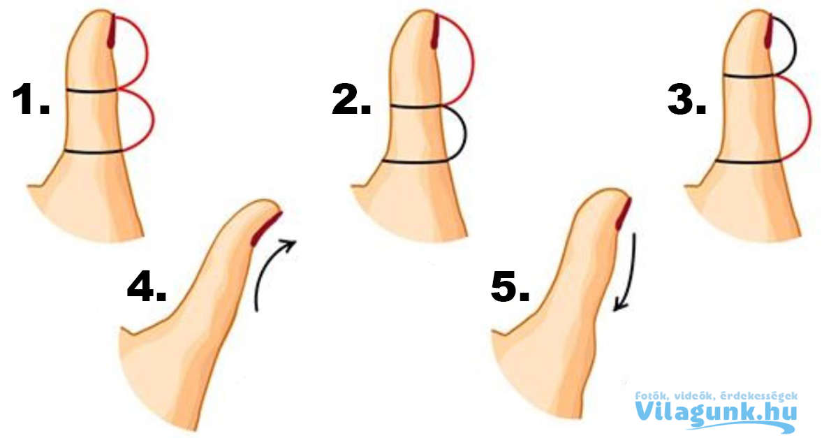 1 2 Hüvelykujjunk kinézete képes elmondani milyen emberek vagyunk. Rólad mit árul el?