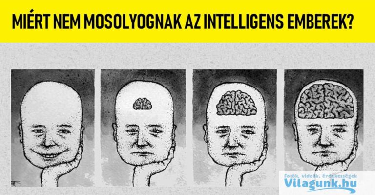 Ez a 6 dolog keseríti meg a legjobban az intelligens emberek életét. Nem lehet könnyű igaz?