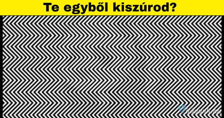 Tanulmányok szerint az emberek csupán 1%-a tudja megmondani milyen állat van a képen.