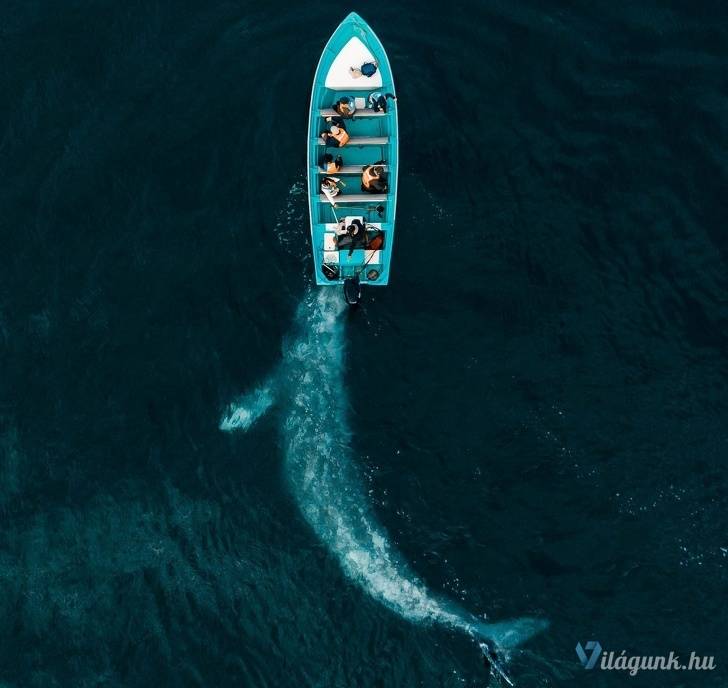 04 4 25 fantasztikus National Geographic fotó, amitől eláll a lélegzeted