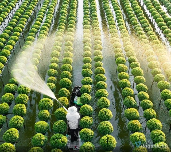 06 4 25 fantasztikus National Geographic fotó, amitől eláll a lélegzeted