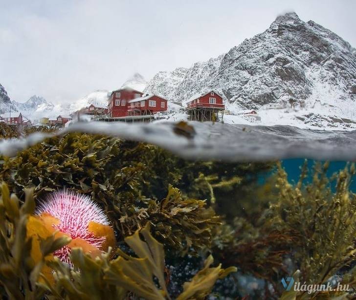 10 6 25 fantasztikus National Geographic fotó, amitől eláll a lélegzeted