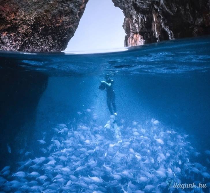 16 3 25 fantasztikus National Geographic fotó, amitől eláll a lélegzeted