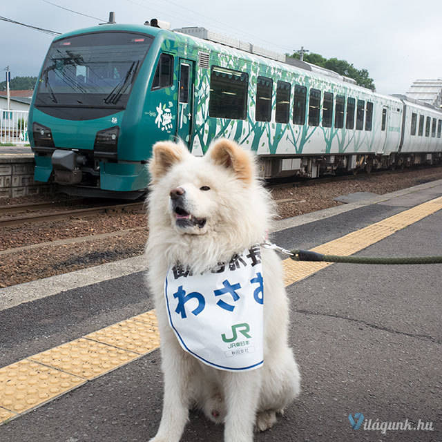 3 16 Ez a 10 tény a legnagyobb bizonyítéka annak, hogy a japán nép egy párhuzamos világban él.