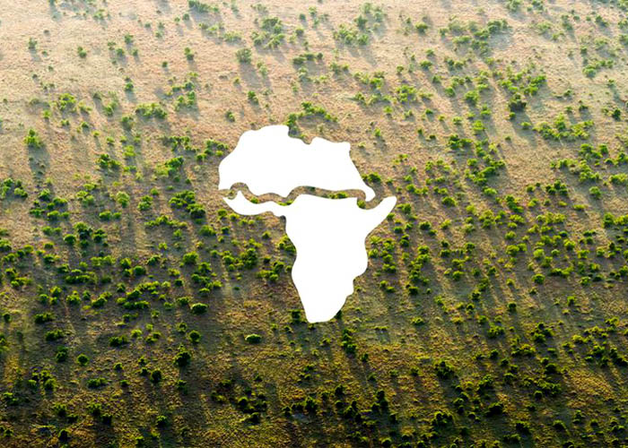 greenwall1 Nagy zöld fal épül Afrikában