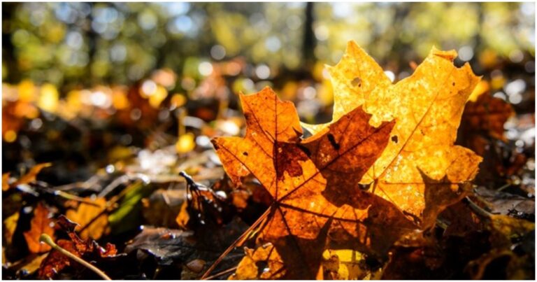 Napi időjárás előrejelzés 2019. szeptember 13. Megmutatjuk, milyen időnk lesz ma!