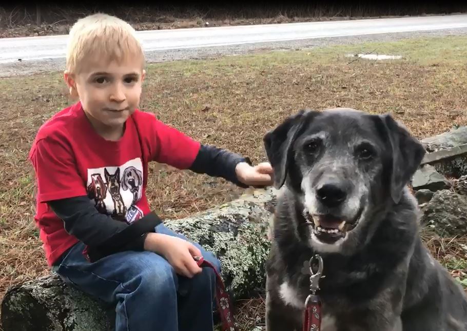 02 19 Mindössze 7 éves, de már 1300 kutyának segített szerető gazdit és új otthont találni