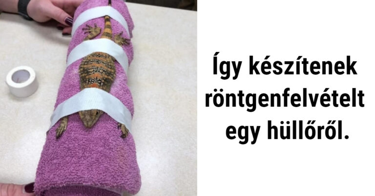 23 kép, ami bemutatja a világ rejtett oldalát