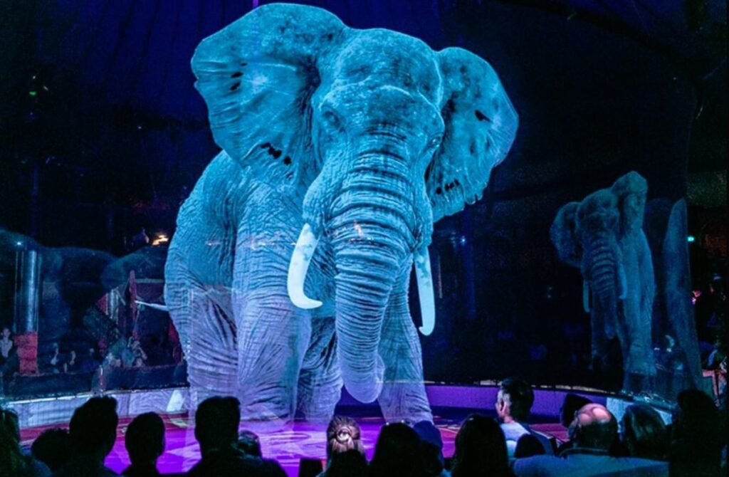 circus Többé nem szerepelhetnek vadállatok a cirkuszokban - Novemberben lép életbe az új rendelet
