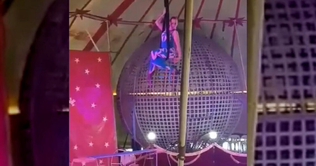 01 19 A budapesti cirkusz artistanője négy métert zuhant előadás közben - Videón a szörnyű baleset