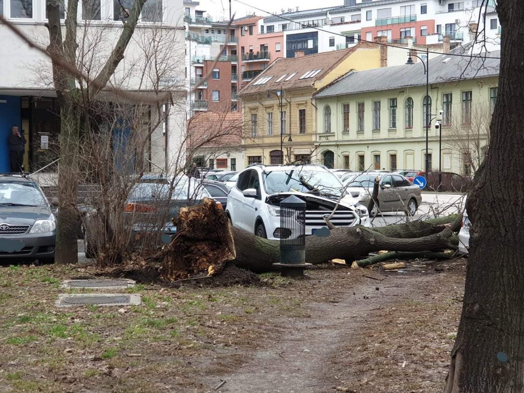 FB IMG 1580830495190 Magyarországra ért a Ciara viharciklon - Tombol a szél az egész országban