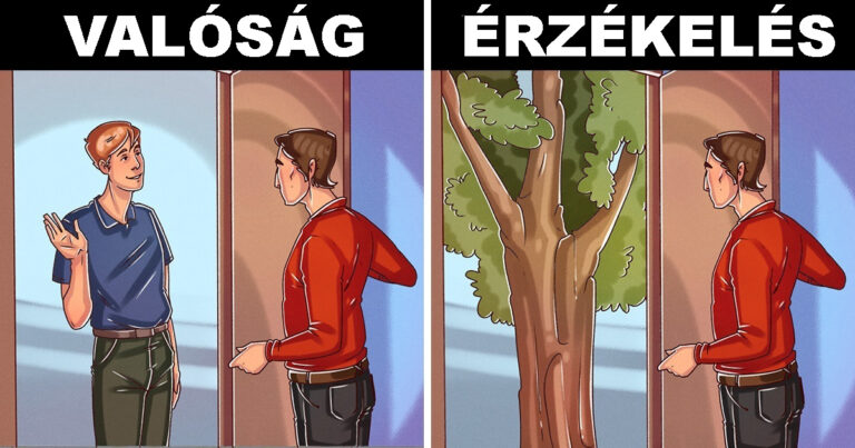 Hogyan lehet beazonosítani 8 furcsa mentális betegséget? – Íme a részletek