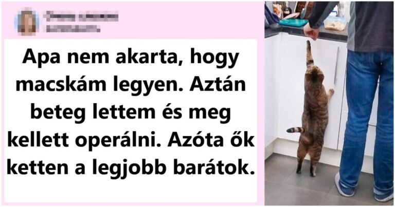 20 férfi, aki nem akart háziállatot, most pedig nem tud élni nélküle