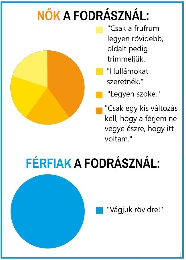 6 20 15 kördiagram, ami hűen tükrözi a férfiak és a nők közti hatalmas különbségeket