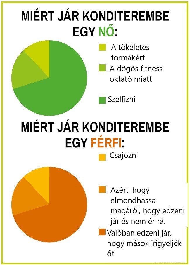 7 20 15 kördiagram, ami hűen tükrözi a férfiak és a nők közti hatalmas különbségeket