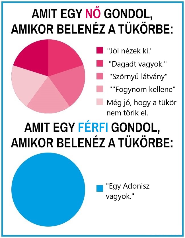 9 14 15 kördiagram, ami hűen tükrözi a férfiak és a nők közti hatalmas különbségeket