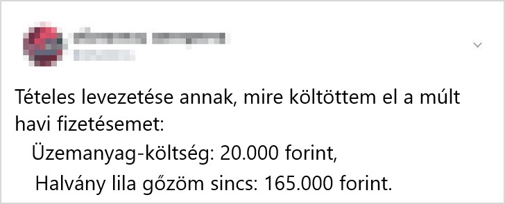 Mult havi fizetes tetelesen levezetve 19 bizonyítéka annak, hogy mi, emberek nem is különbözünk annyira