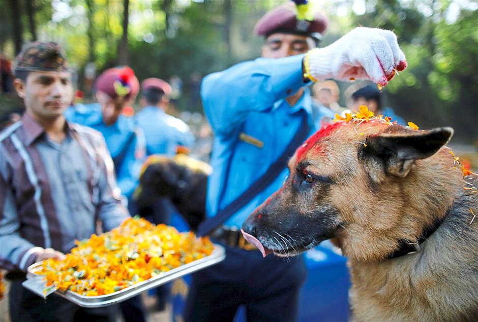 str2 EPA diwalidog ev 5 lead 19 érdekes tény azoknak, akik azt hiszik, már semmi nem lepheti meg őket