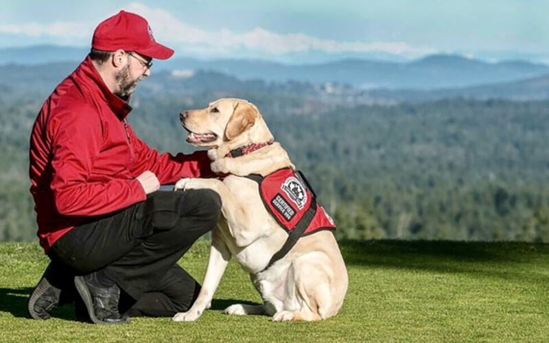 Day in the life of a service dog Blog Header Sose zavarj el magadtól egy segítőkutyát, mert valószínű a gazdája nagy bajban van