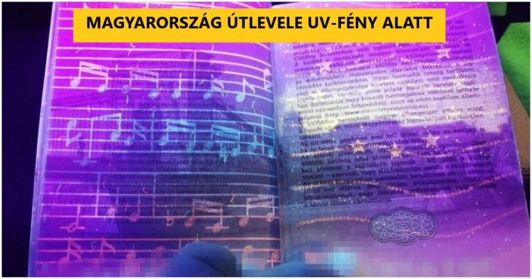 16 stílusos útlevél, ami úgy fest, mint egy igazi remekmű