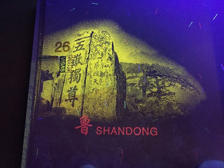 Kina3 16 stílusos útlevél, ami úgy fest, mint egy igazi remekmű