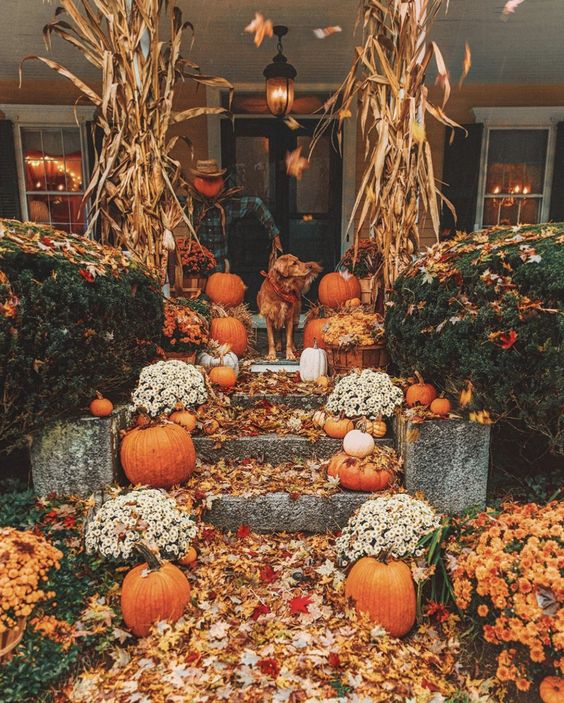 16 19 Íme néhány kép, ami bemutatja, milyen hangulatossá tudja tenni az őszi dekoráció az otthonod