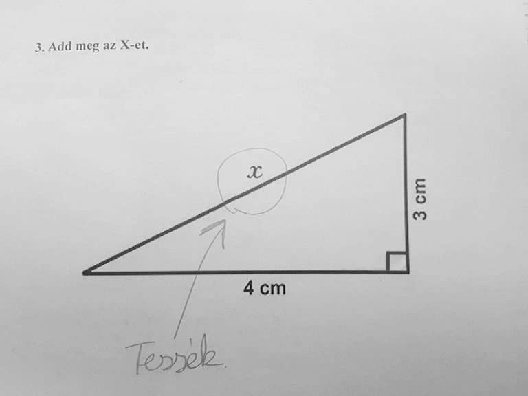 16 18 28 zseniális magyar dolgozat, amit még a tanárok is sírva olvastak a nevetéstől