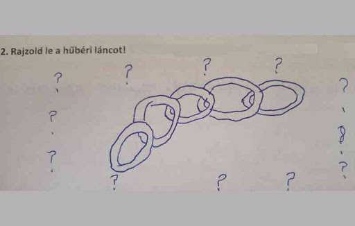 24 28 zseniális magyar dolgozat, amit még a tanárok is sírva olvastak a nevetéstől