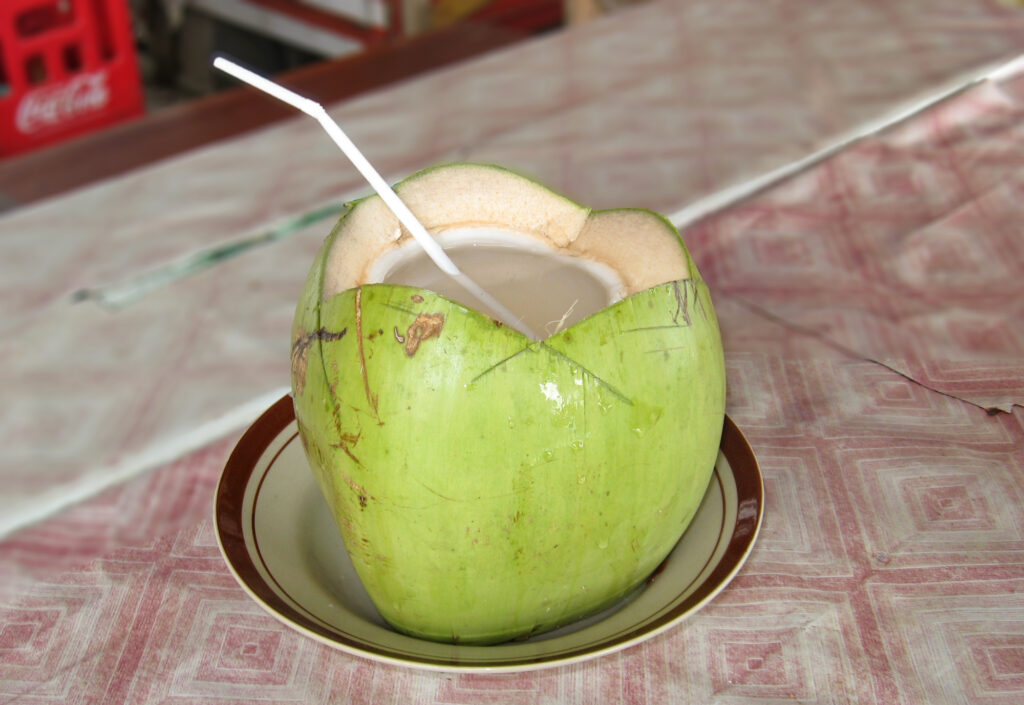 Coconut Drink Pangandaran Az internetezők megosztották, hogyan kell túlélni egy katasztrófát