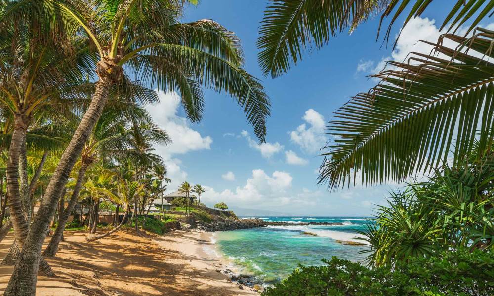 Ingyen utazhatunk Hawaii-ra, ha legalább 30 napig ott is maradunk