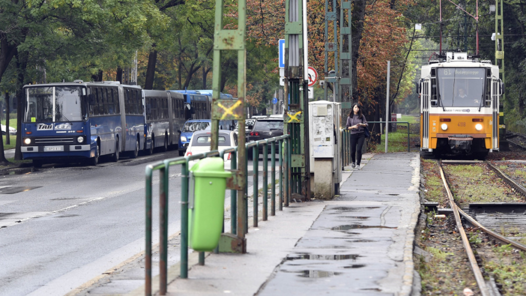 kep 2020 12 11 213825 A 7 éves kislány egy szál pólóban, sírva állt a buszmegállóban büntetésből. Milyen anya az ilyen?