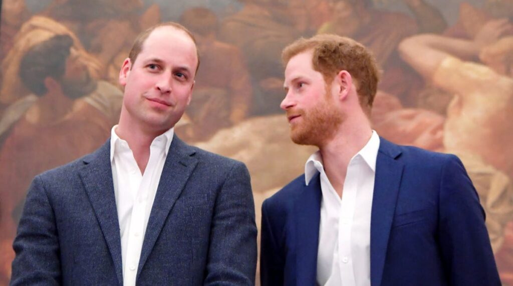 6e1f0bd6 f112 4434 be63 7057eef05ac4 Prince William and Prince Harry