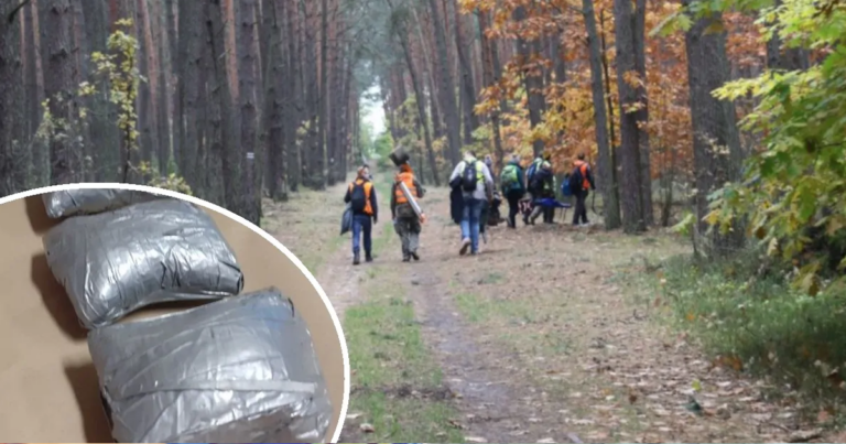 Az erdőben túrázott két turista – Először egy titokzatos barlangot fedeztek fel, aztán jött az igazi döbbenet