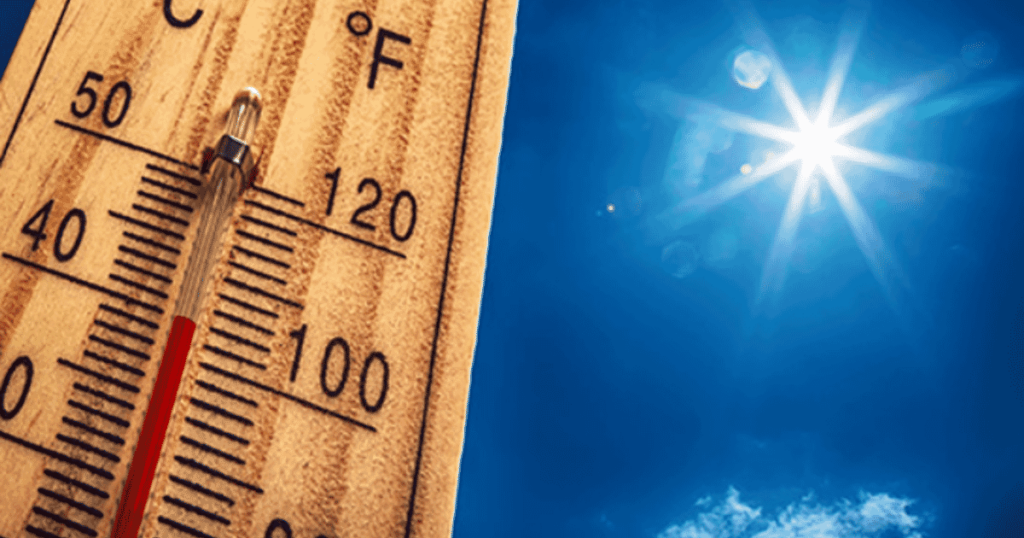 poultry articles summer temperature Pusztító hőség tör be Európába - A hőmérséklet meghaladhatja a 45 ° C-ot