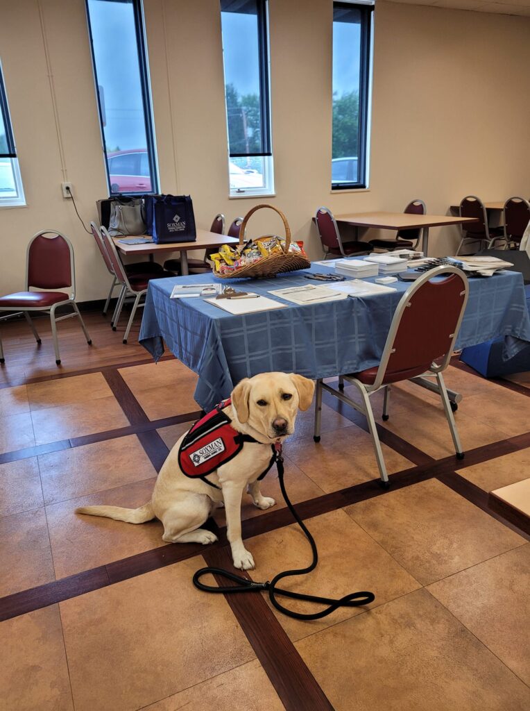 239902264 3052264225044582 831881523505074399 n A ravatalozó egy Labrador retriever kutyát vett fel dolgozni, hogy segítsen a gyászoló embereknek