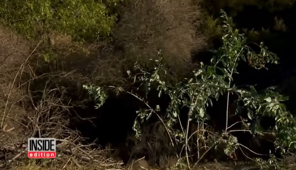 11 5 éves hős kislány mentette meg anyját és öccsét a szörnyű baleset után - "Ha ő nincs biztos nem élik túl"