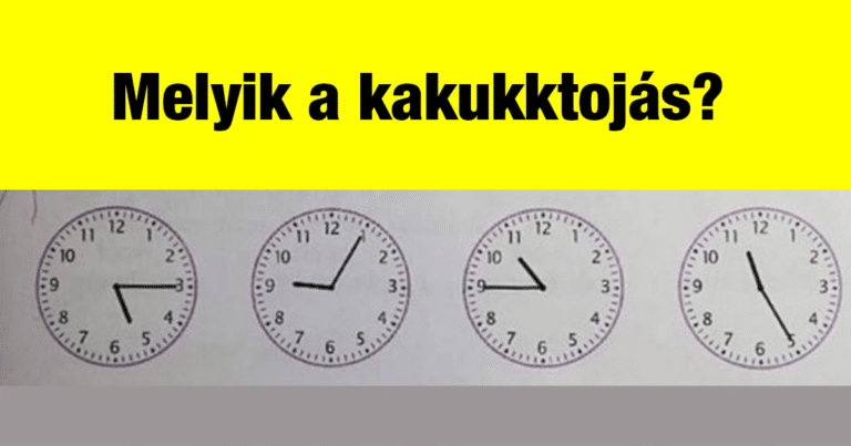 A 8 éveseknek szánt házi feladat még a szülőkön is kifogott. Te tudnád a helyes választ?